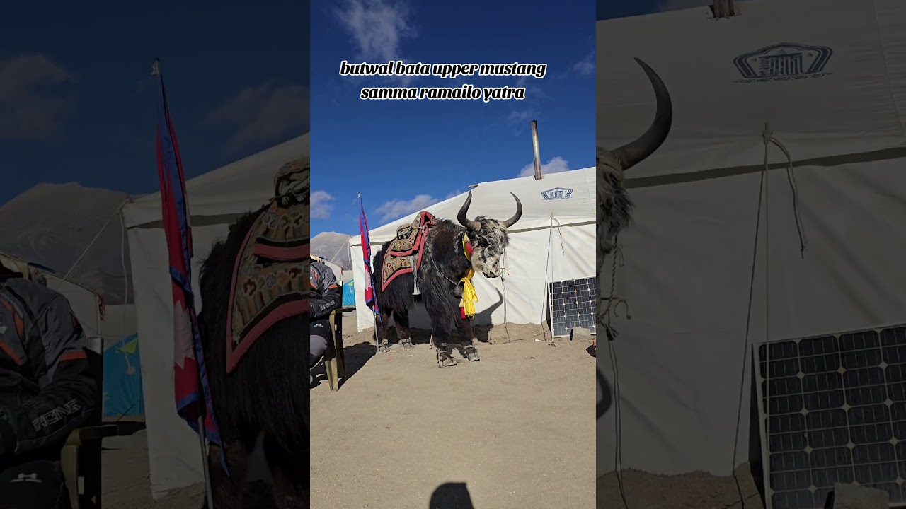 Butwal dekhi upper mustang sanga ko ramailo yatra 