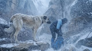 I built a frozen shelter so we could survive this cold hell❄️🔥🐕