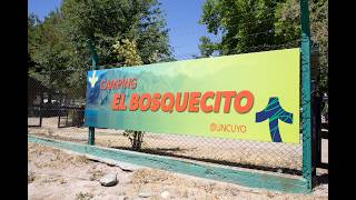 Qué servicios ofrece el Camping El Bosquecito