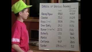 Calculating Animal Speed with Mr. Wizard