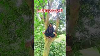 Chalak Baba 😂 चालक बाबा#shortvideo#comedy#funny#youtubeshorts#shorts#memes#amitffyt#rajuactoryt