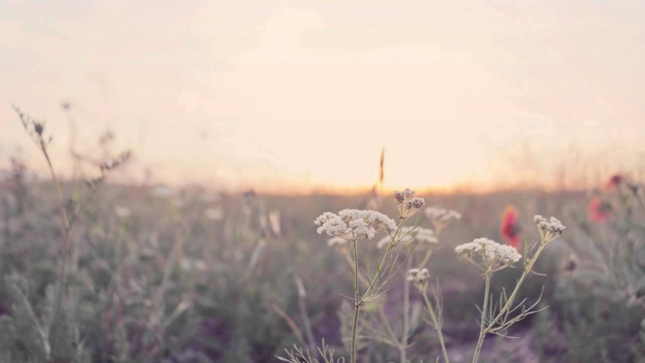 Kubix - Chihiro (Ambient Mix)