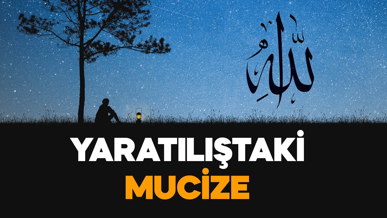 Tesadüf mü? Asla!..Yaratılıştaki Mucize