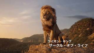 ライオン・キング-サークル・オブ・ライフ(Japanese)[音楽]
