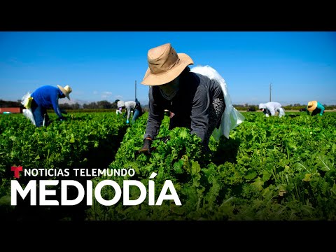 Esta es la percepción que tienen de la comunidad latina en Estados Unidos | Noticias Telemundo
