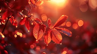 🔻 Root Chakra Healing: Solfeggio Frequency 396 Hz | Release Guilt, Fear, and Grief 🔻