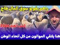 سوق البرايدية أكبر تجمع لبيع كباش عيد الأضحى الحديث عن تراجع في أسعار الكباش شاهد و أحكم بنفسك 