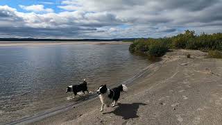 Episode 12 Hamilton to Hopedale 2021