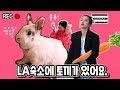 [VLOG #4] 엘에이 놀러갔는데 숙소 거실에 토끼🐰가 있음...? 먹부림, 쇼핑부림, 감기부림...