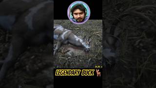 Legendary Buck Location 🦌 RDR2 (Exact Map + Easy Hunt Guide!) #rdr2 #legendary #bucks #hunting