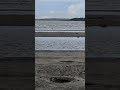 矢沢永吉 ひき潮