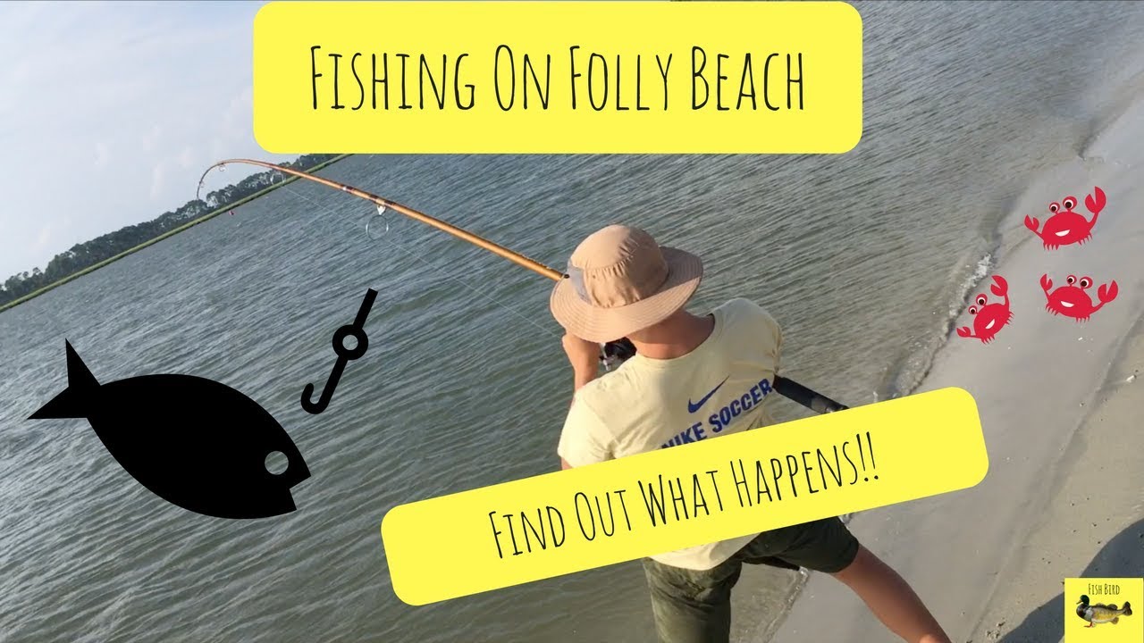 Fishing on Folly Beach, SC YouTube