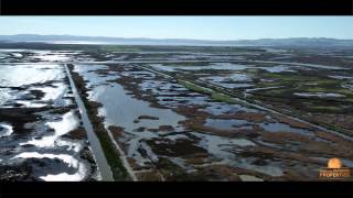Outdoorsmen's Paradise: The Westwind Duck and Fishing Club // Suisan City, California