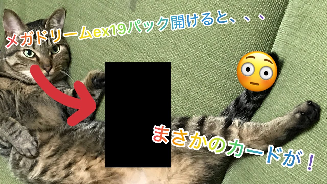 誕生日に貰ったポケモンカードメガドリームexバラ10パック開封！まさかのカードが！？