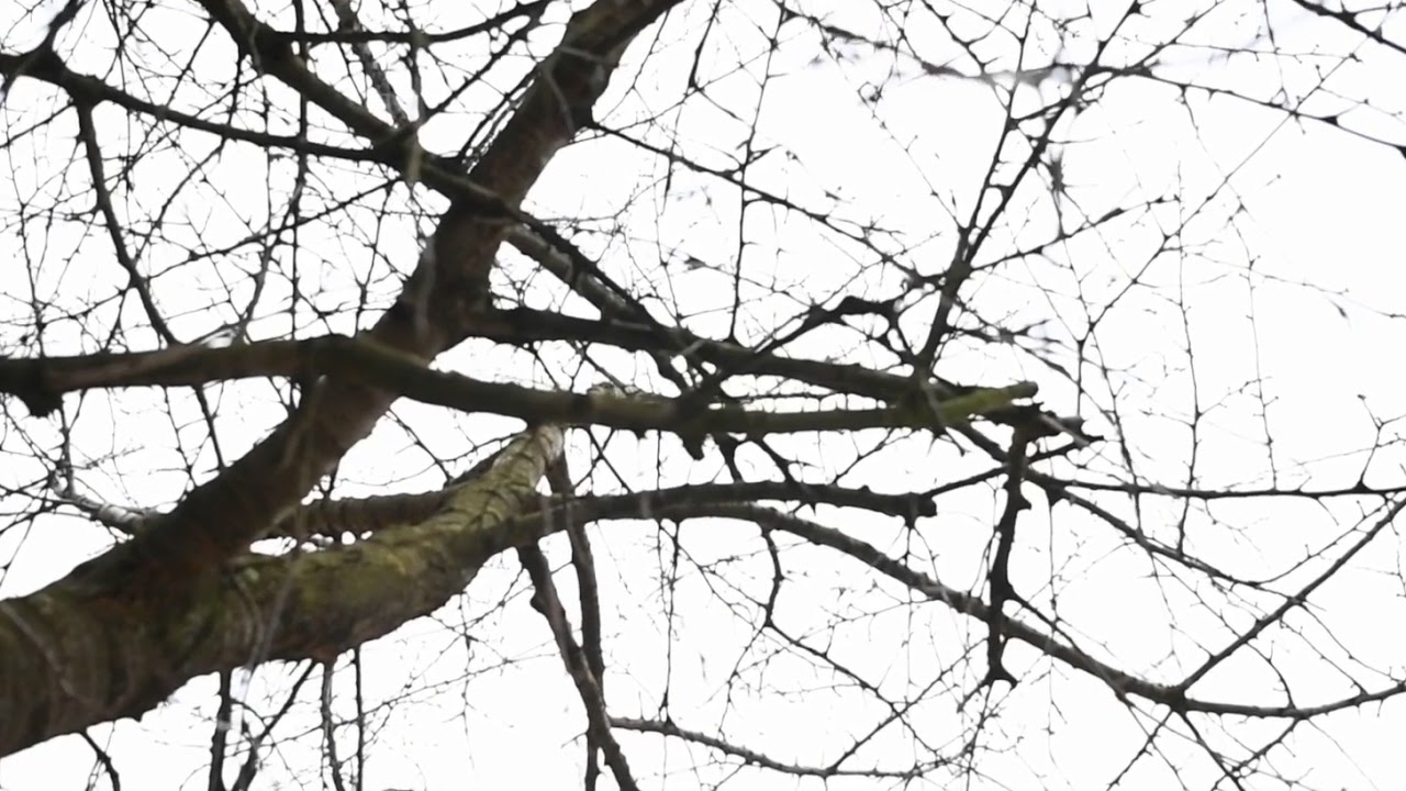 Pferdeshooting in Werl Imagefilm