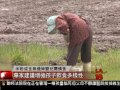 [建議新生兒少吃米糊] 洛城18台晚間新聞05052016