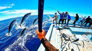 🎣 POLE & LINE TUNA ACTION – Skipjack, Kawakawa & MahiMahi! (1–1.5kg Grade)