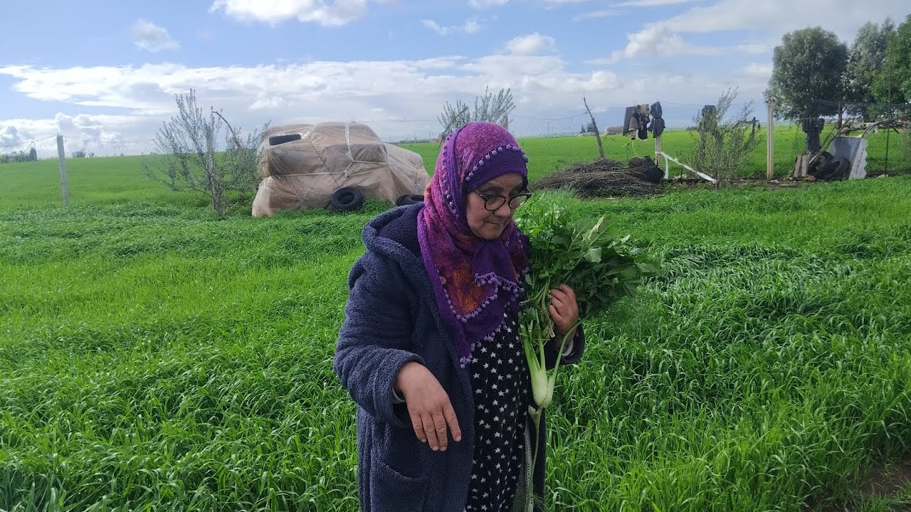 خبز البلاد  (فران  بوقفلة) 