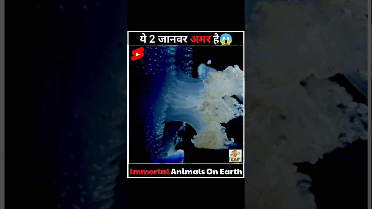 Immortal Creatures On Earth |