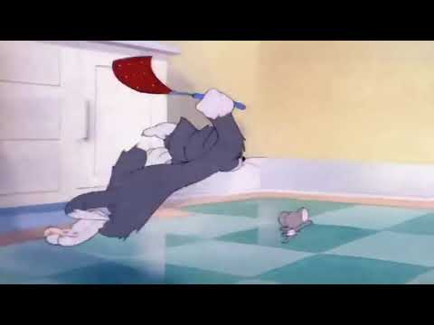 Video Hoạt Hình Tom Và Jerry Chuột Nhỏ Và Jerry chiến đấu vs... - youtube