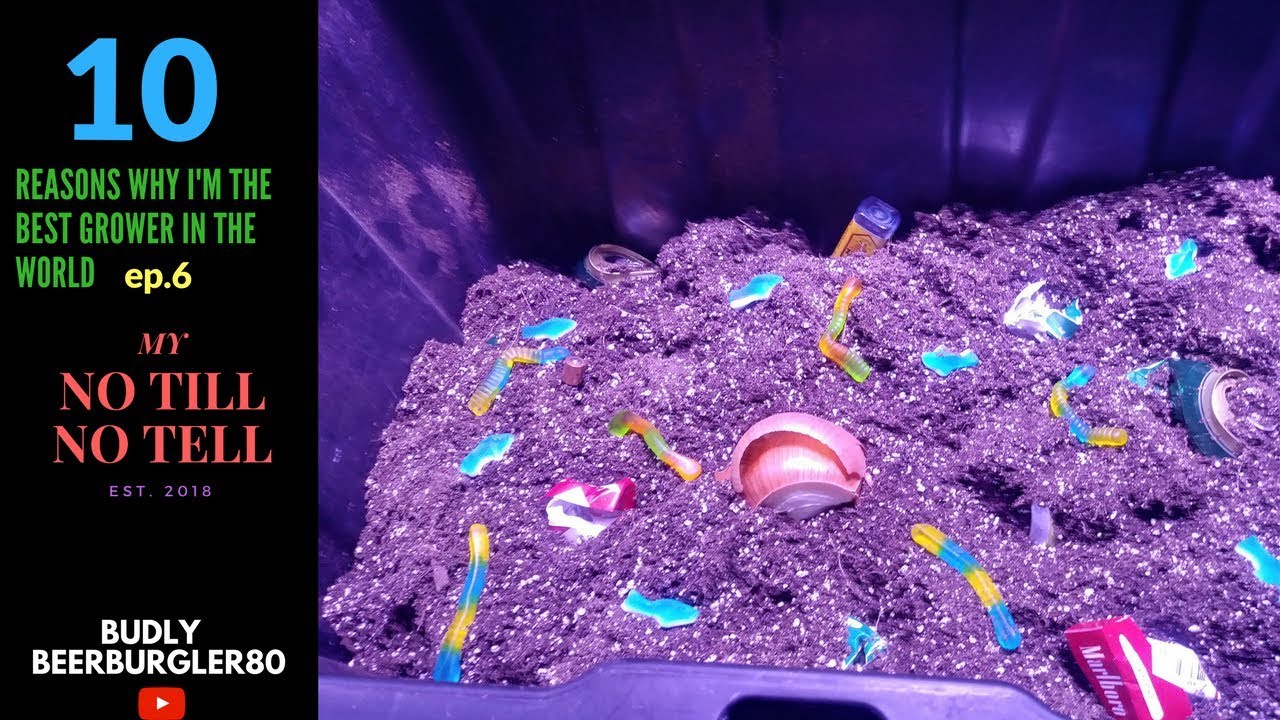 10 REASONS WHY I'M THE GROWER IN THE WORLD,ep.6