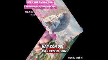 Bài 2: Bài học về Luật Nhân Quả. Quy luật hiện hữu của vũ trụ