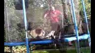 guy having a spaz attack