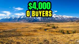 Why Is NOBODY Buying This $4,000 Paradise I Found the Answer