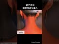 研ナオコのお薦め曲 東京見返り美人 #shorts
