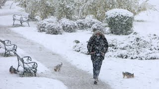Od Ranih Jutarnjih Sati U Karlovcu Pada Gusti Snijeg