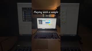 West coast sample flip might be the one🌴🎛️ #westcoasthiphop #beatmaker #sampleflip #musicproducer
