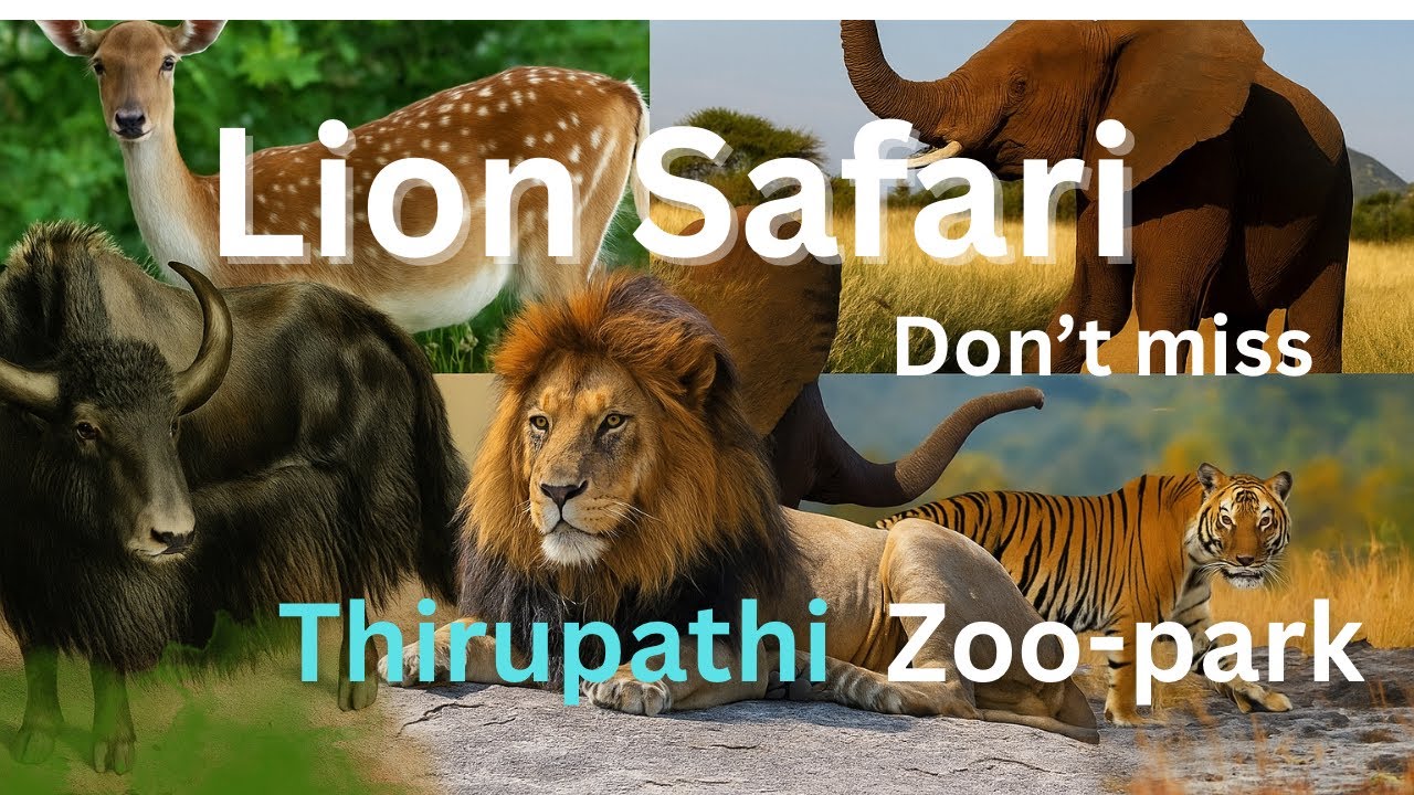 Когда вы посетите Тирумалу, не забудьте посетить зоопарк Шри Венкатешвары!