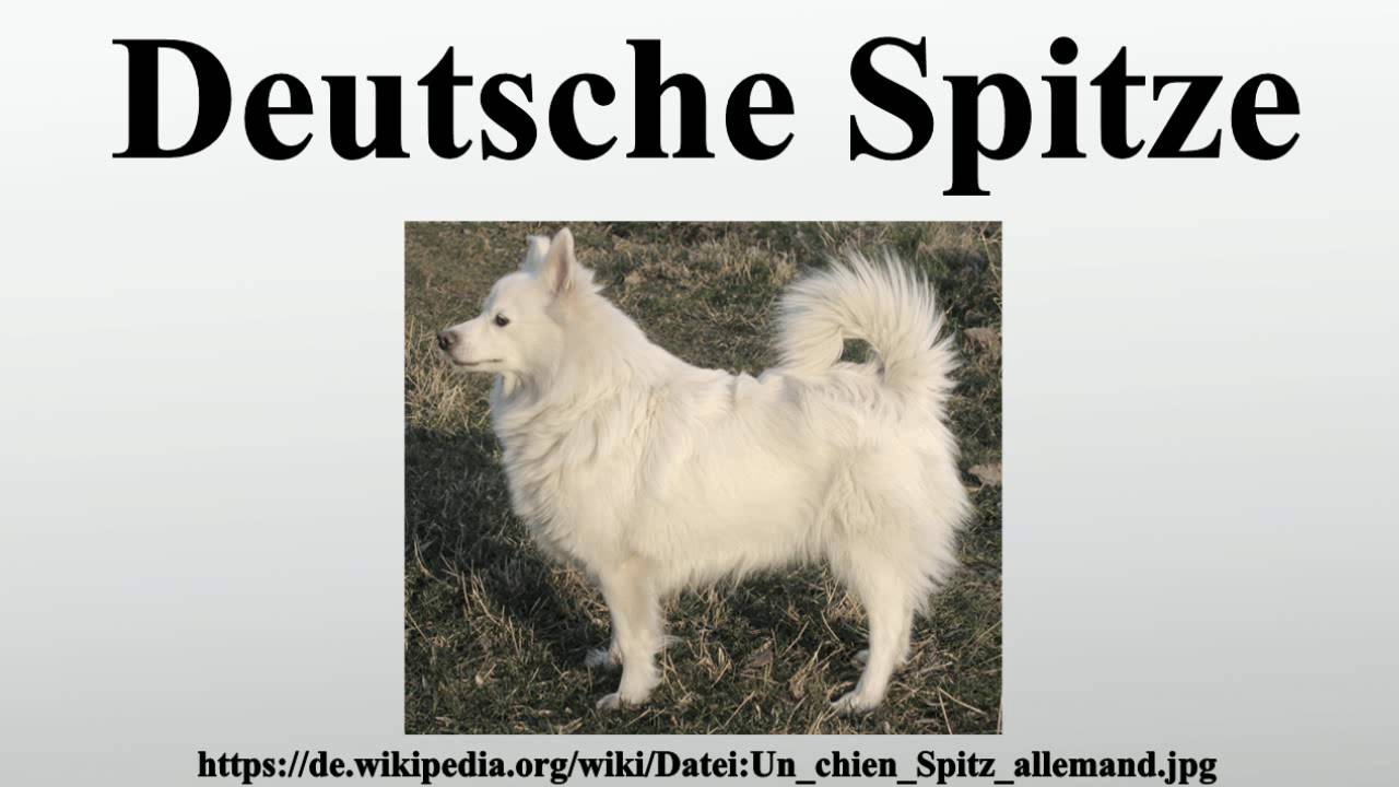 Deutsche Spitze YouTube