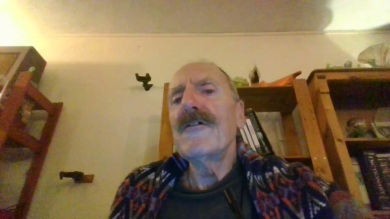 The causes of economic disadvantage for ethnic minority groups in Britain