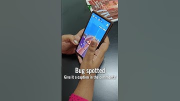 Caption The Bug