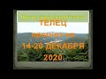 телец прогноз на неделю с 14 по 20 декабря 2020