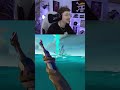 Récupérez mon MEGA 😂 #seaofthieves #sot #gaming