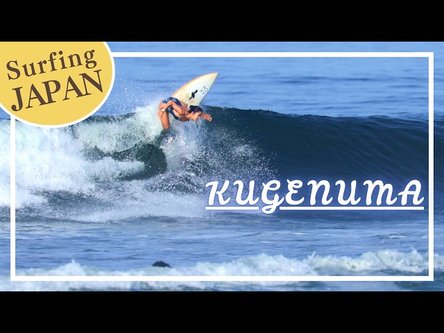 Stoked the waves are still here 7/9/2026 Kugenuma Daily clip Vlog