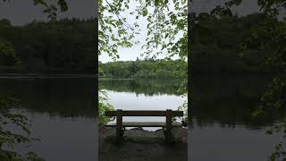 A bench with a view…