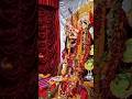 Durga Puja Start 9 Oct 2024 End 13 Oct 2024 #durgapuja #durgostav #shortsvideo #youtubeshorts #reels