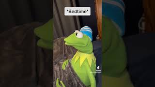 Happy New Year From Kermitthepuppet TIKTOK !!