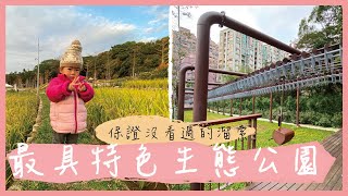 春節必遊最具特色生態公園來啦！溜索超刺激｜桃園大有梯田生態公園｜米包當媽日記