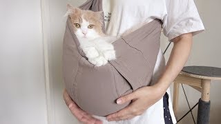 THIS CAT LIVES IN A POCKET, LIKE A KANGAROO. (ENG SUB)