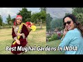 Must visit attraction in Srinagar - Mughal Gardens 😍😍😍 Garima’s Good Life (English Subtitles)