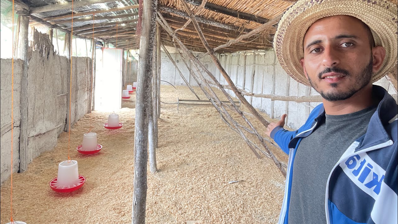 كيف تحصل على أجمل عنبر لتربية الدجاج البياض بأقل تكلفة ممكنة