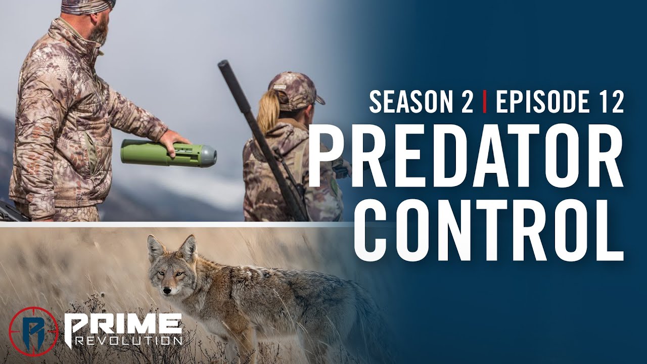 Prime Revolution | Season 2 Ep 12 Nevada Predator control - YouTube