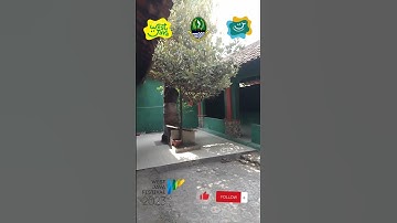 Tema Makam Buyut Tambi - Swj Ambassador Jawa Barat 2023 ✨