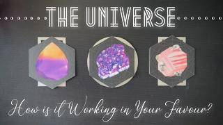 How is THE UNIVERSE Working IN YOUR FAVOUR Right Now?🌸✨