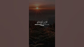ألا أن أولياء الله لا خوف عليهم ولا هم يحزنون | تلاوة خاشعة | راحة نفسية | حالات واتس اب دينيه