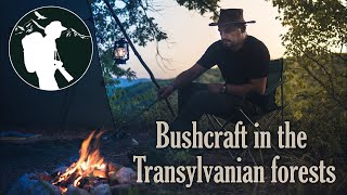 Solo bushcraft overnight - tarp shelter, cooking, exploring some old ruins